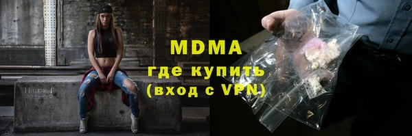 стаф Корсаков