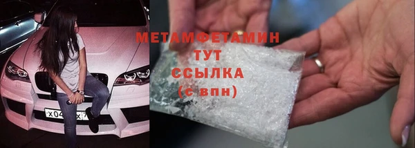 сатива Беломорск