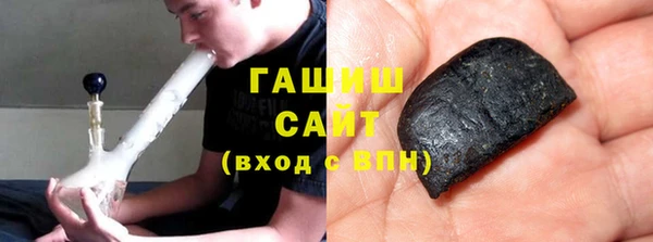 сатива Беломорск