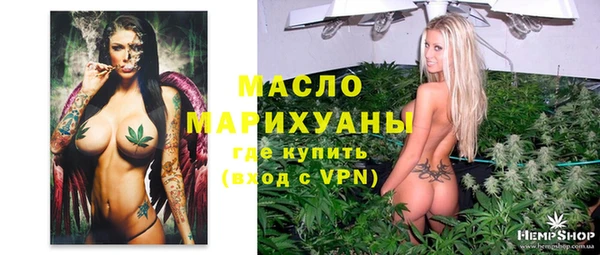 сатива Беломорск