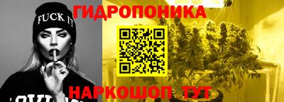 индика Пенза