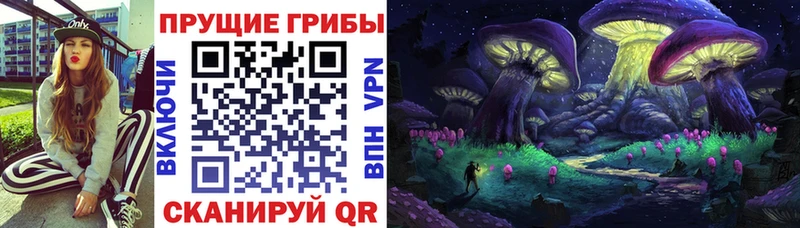 Галлюциногенные грибы Psilocybine cubensis  купить наркотики цена  Бутурлиновка 