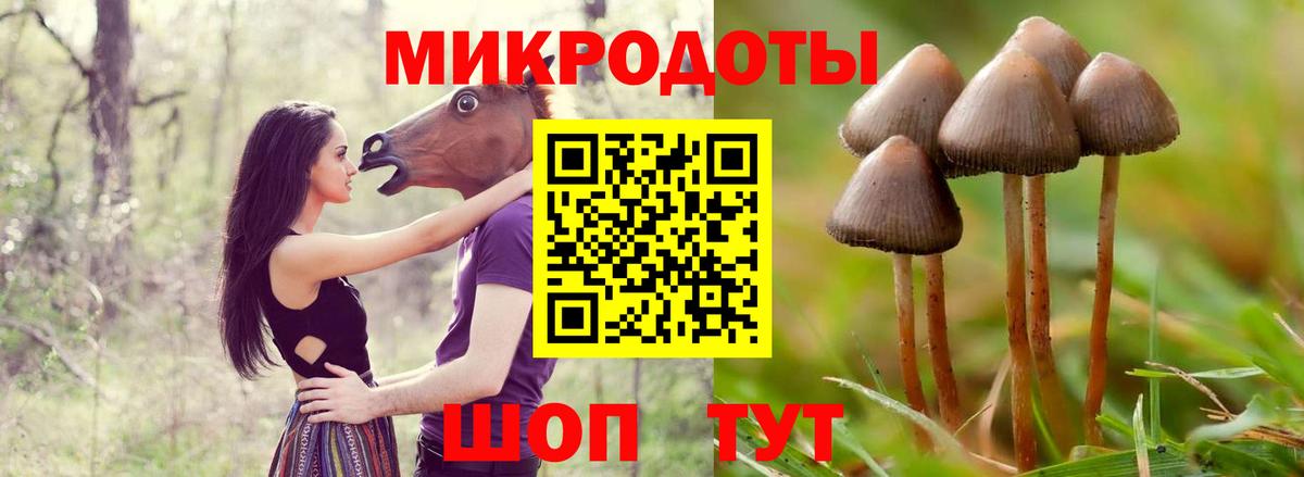 дарнет шоп  Вход с VPN  Бутурлиновка  Галлюциногенные грибы Magic Shrooms 